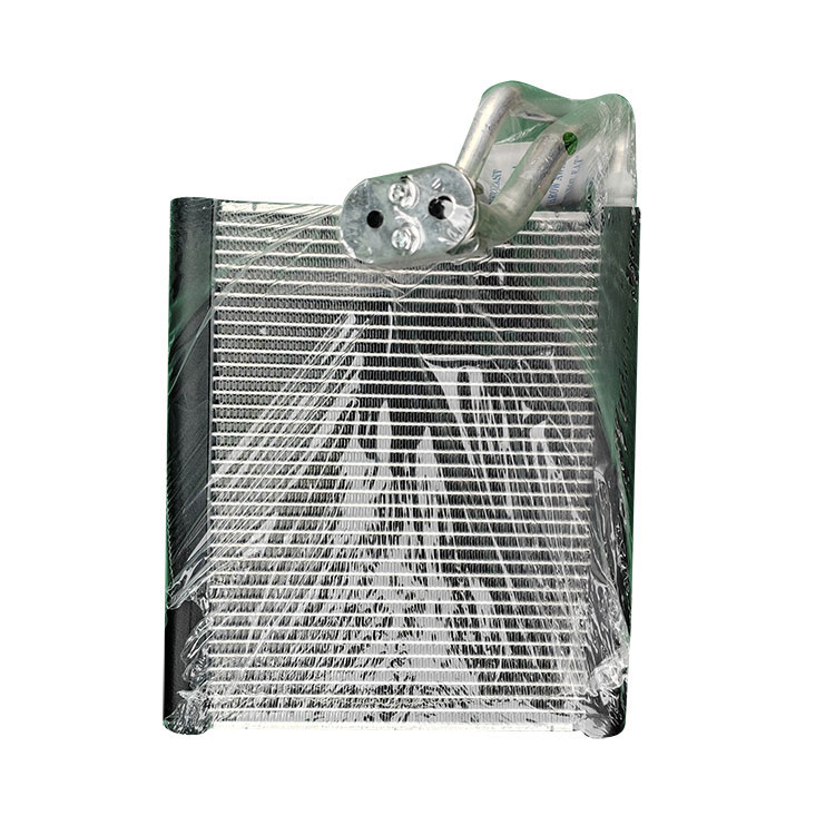 Dongfeng Nissan Tide Verdamper Kern